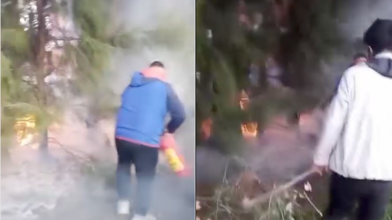 Bornova’da orman yangını!