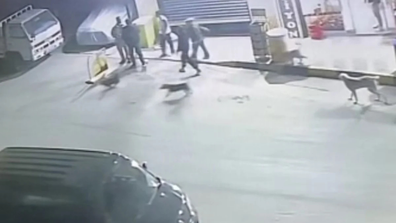 İzmir'de köpeklerden kaçan 3 kişi sığındıkları iş yerinde bıçaklı saldırıya uğradı!