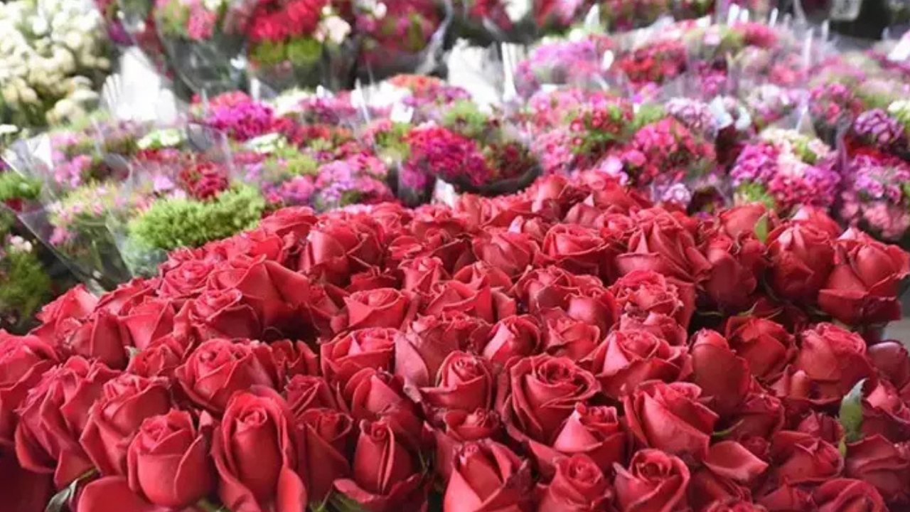 İzmir Balçova çiçek mezadında sevgililer günü yoğunluğu