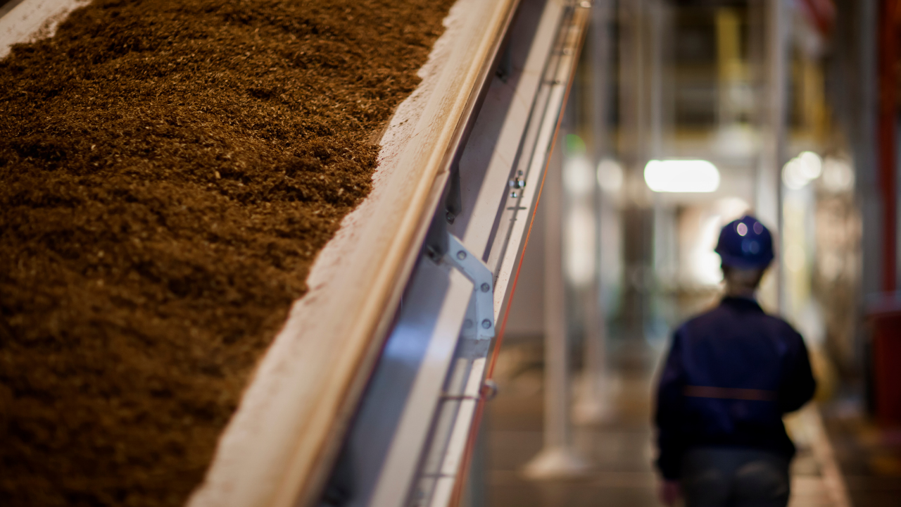 İzmir'de 3 tütün fabrikasından grev kararı: İşçiler greve gidiyor!